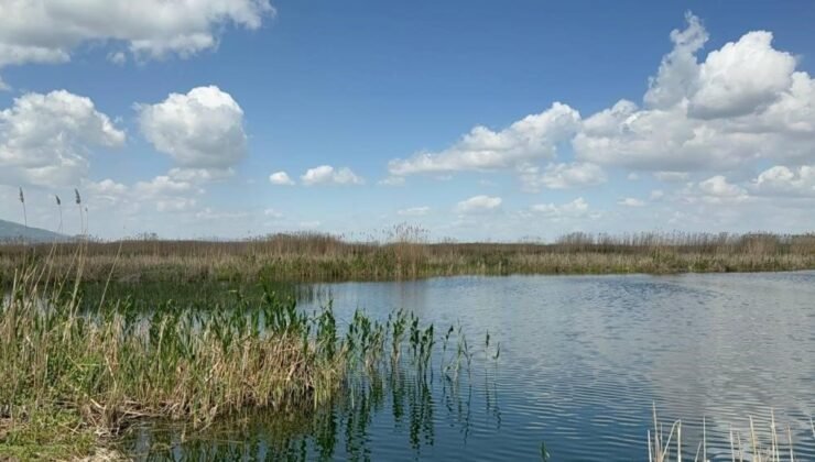 Sultan Dağları’ndaki kar Eber Gölü ve kiraza umut oldu