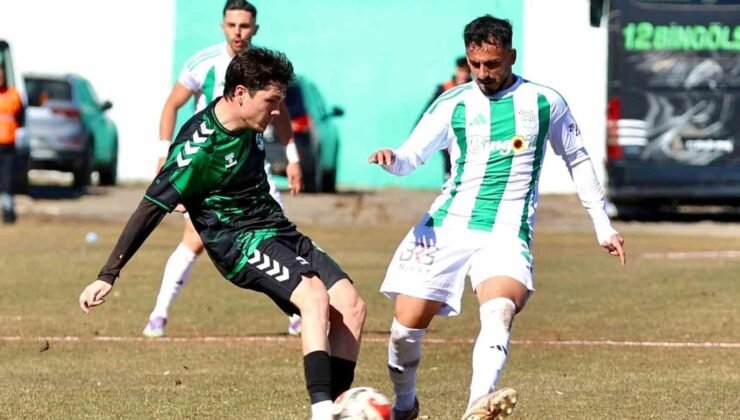 TFF 3. Lig: 12 Bingölspor: 0 – Kırşehir FSK: 1