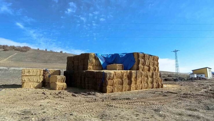 Tokat’ta elektrik akımına kapılan genç son yolculuğuna uğurlandı