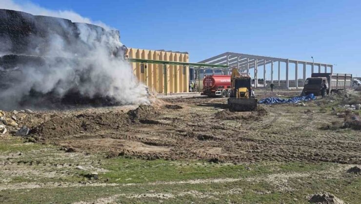 Tonlarca mısır balyası yandı