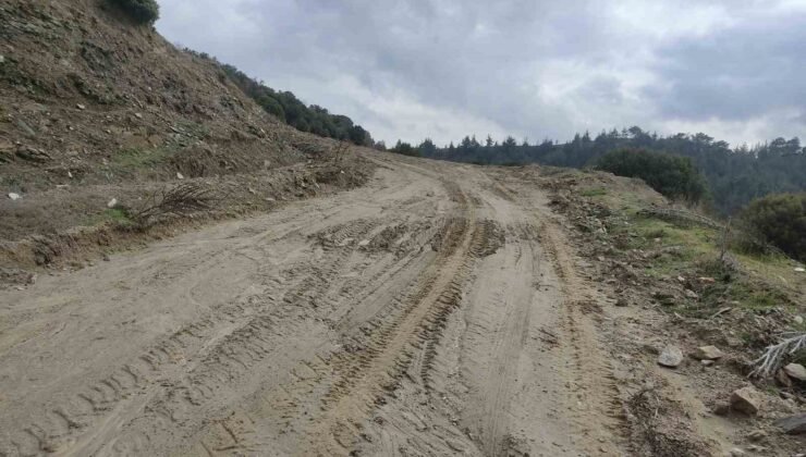 Toprak kayması nedeniyle okula gidemeyen öğrencilerin yolu açıldı
