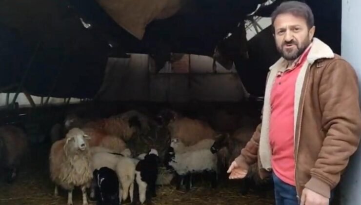 Trabzon’da ilginç görüntüler