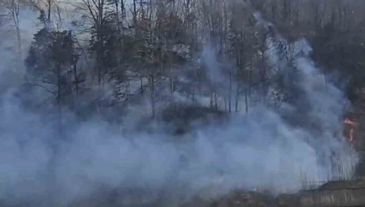 Trabzon’da örtü yangınları