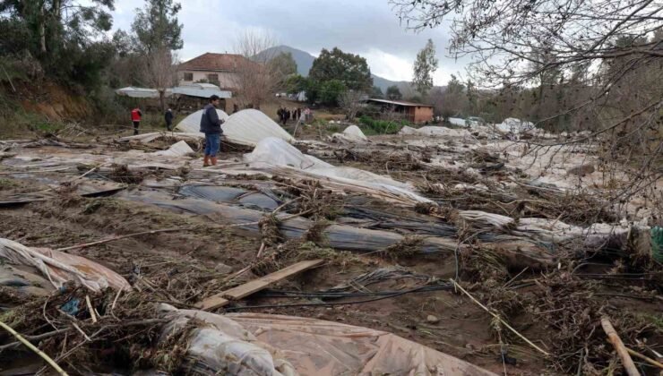 Tüm birikimlerini 1 saatte kaybettiler