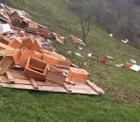 Türkeli’de fırtına arıcılığı vurdu: Onlarca kovan zarar gördü