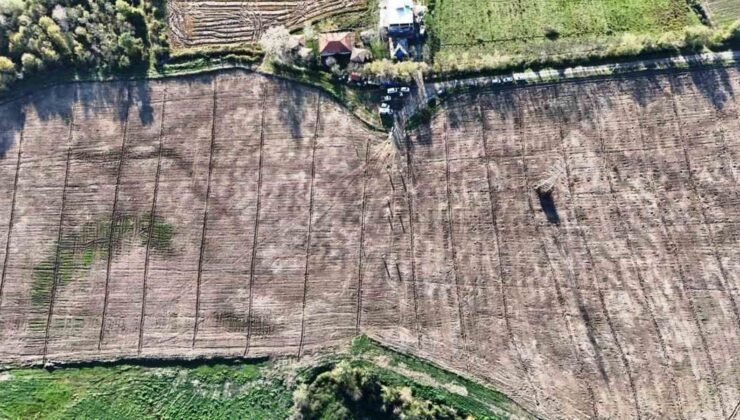 Türkiye’deki şehirler, Samsun’da üretilen fidanlarla yeşerdi