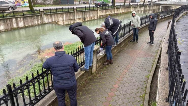 Uludere Çayı’nda binlerce ölü balık bulundu: Ekipler seferber oldu