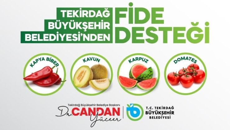Üreticiye yüzde 70 hibeli fide desteği