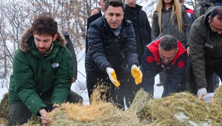 Vali Aygöl, yaban hayvanları için sahada