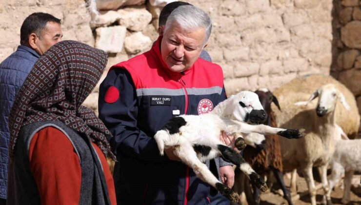 Vali Duru: “1,5 milyarlık finansmanla 125 bin küçükbaş hayvan alımı yapılacak”