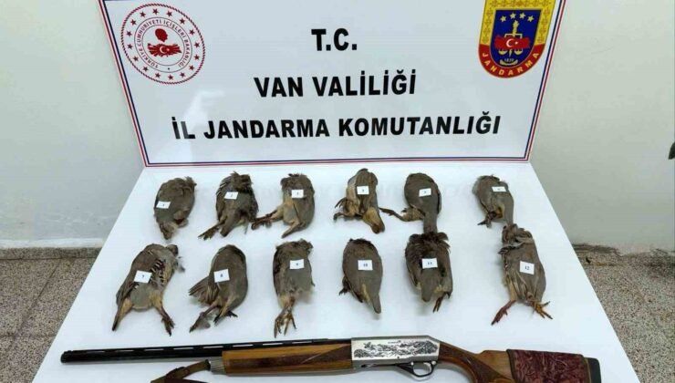 Van’da keklik avlayan kişiye 81 bin TL ceza