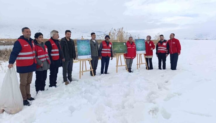 Van’da yaban hayvanları unutulmadı