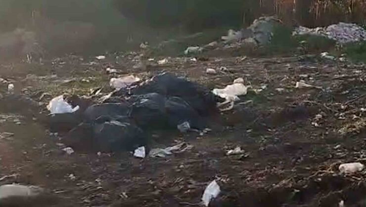 Vatandaşların kirlettiği ormanlık alanı muhtar temizledi