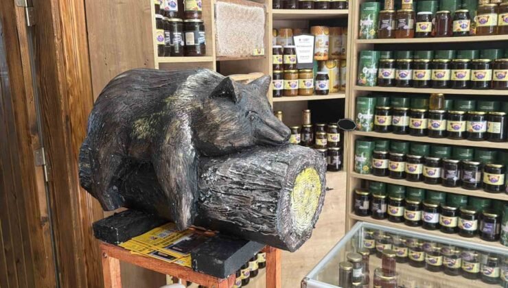 Viral olan ayı, satışları katladı: Balcı dükkanının başköşesine ’bayılan ayı’ dekoru yerleşti