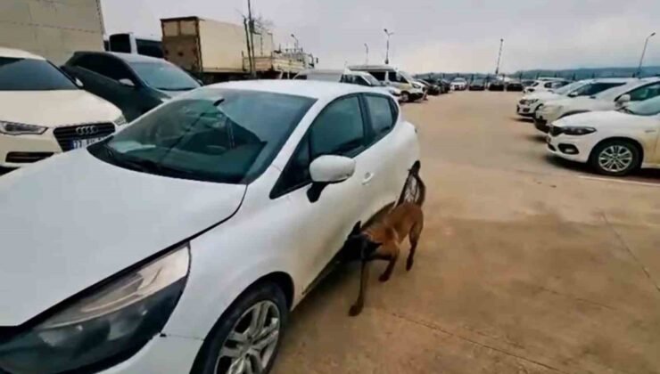 Yalova’da uyuşturucu operasyonu: 2 tutuklama