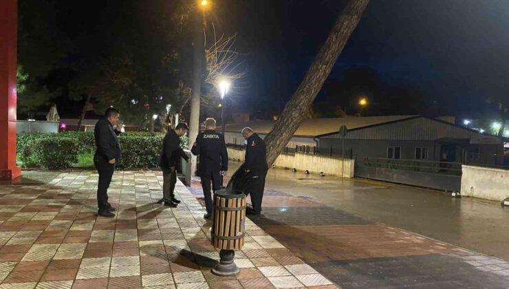 Yarım asırlık çam ağacı fırtınaya dayanamadı