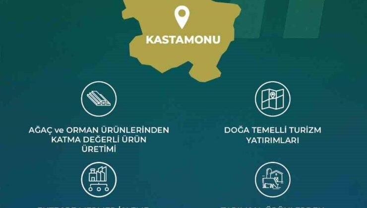 Yerel Kalkınma Hamlesi Teşvik Programıyla 3 ilin yerel potansiyeli ortaya çıkartılacak