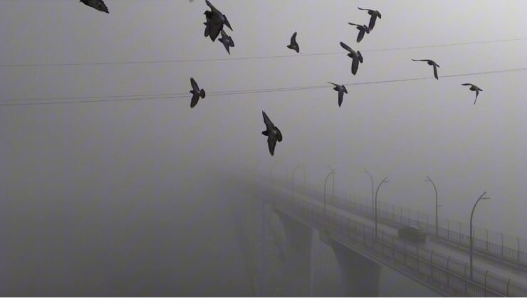 Yoğun sisten kaybolan yapılar dronla görüntülendi