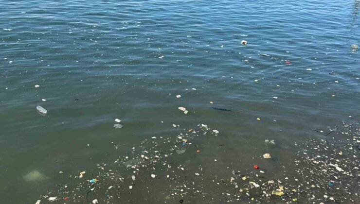 Zonguldak sahilinde çöp tepkisi