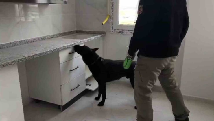 72 bin extacy yakalatıp “bizim değil” savunması yaptılar