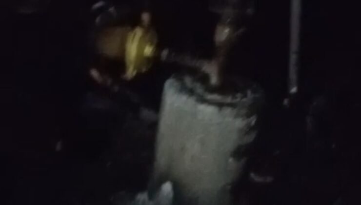 Adana’da 40 güvercin yangında telef oldu