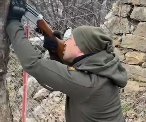 Ağaca takılan dronu tüfekle dala ateş ederek kurtardılar