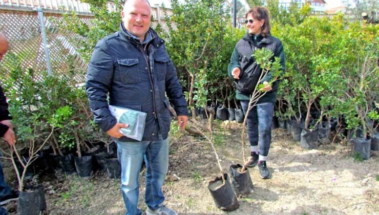 Alaçatı’da “Her Bahçeye Bir Sakız Ağacı” seferberliği