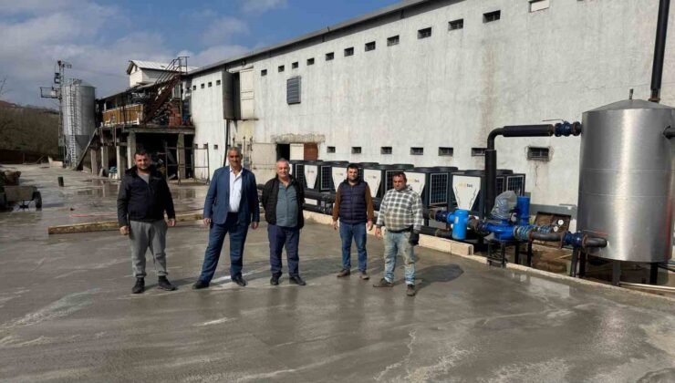 Alaplı Çayı’nda telef olmuş tavukların bulunmasının ardından tavuk çiftliği sahibi suçlamaları reddetti