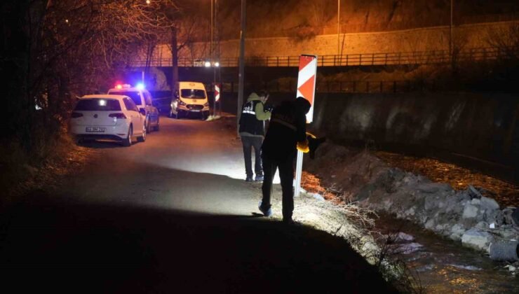 Alzheimer hastası yaşlı adam Harşit Çayı’nda ölü bulundu