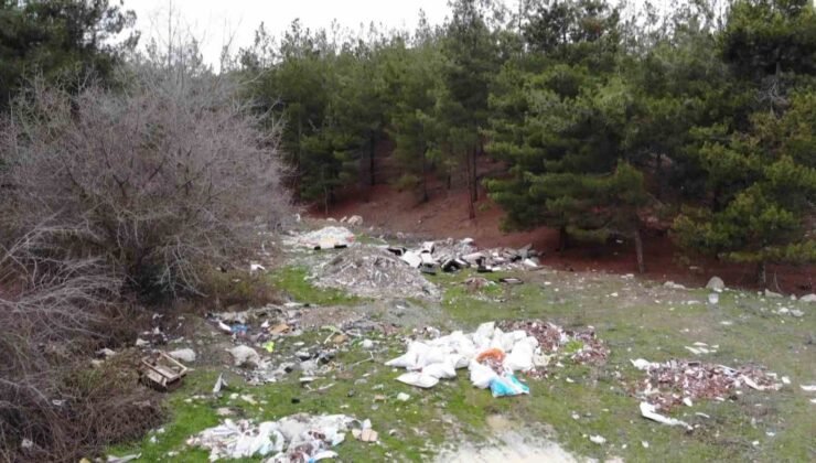 Amasya’da orman çöplüğe dönüştü: “Bu toprakları piyangodan kazanmadık”