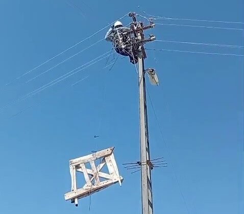 Aras Elektrik’ten doğa dostu adım: Fırtınada zarar gören leylek yuvaları yeniden yerine yerleştirildi