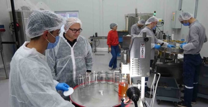 Arıcılar teknolojiyi yakından takip ediyor: Devlet desteğiyle modern tesis kurdu, 40 kişiye istihdam sağladı