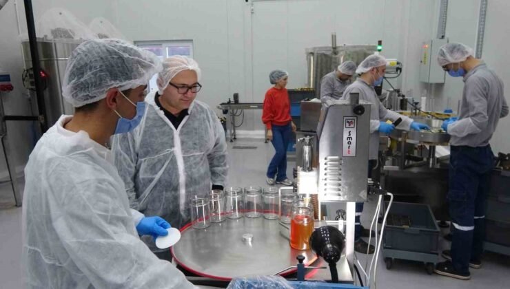 Arıcılar teknolojiyi yakından takip ediyor: Devlet desteğiyle modern tesis kurdu, 40 kişiye istihdam sağladı