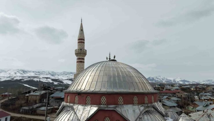 “Baharın habercisi” leylekler Muş Ovası’na gelmeye başladı