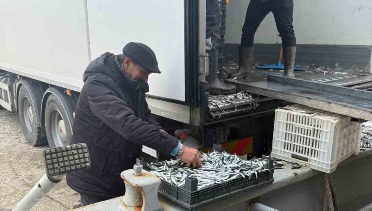 Balıkçı Ramazan’da ücretsiz hamsi dağıttı