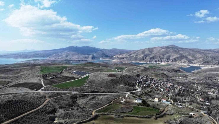 Başkan Çolakbayrakdar: “Türkiye’de ağaç dikmede rekor kırdık, şimdi yeni bir rekor için çalışıyoruz”