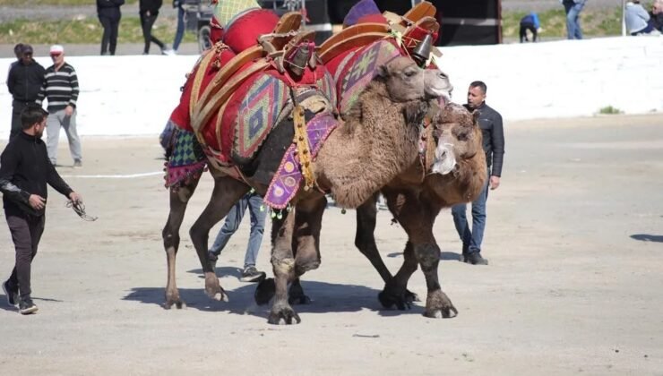 Başkan Kaya: “Bu yıl sezonun ilk güreşlerini yapmak bizlere nasip oldu”