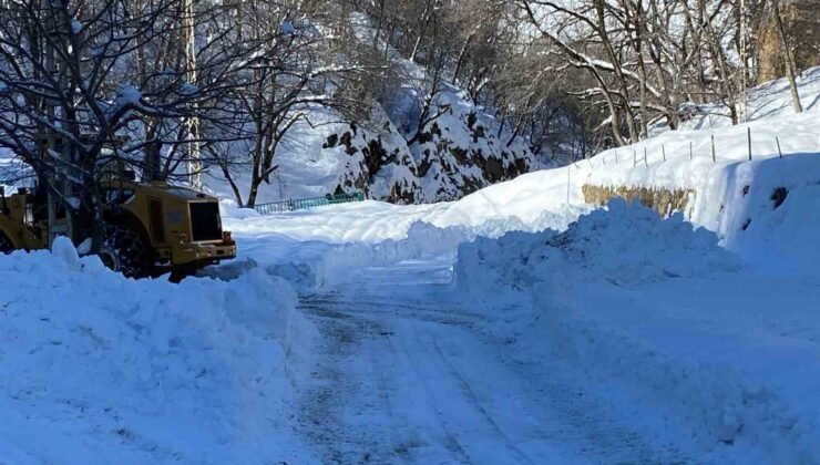 Batman’da karla mücadele çalışmaları sürüyor