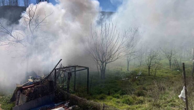 Bilecik’te bağ evinde çıkan yangın korkuttu