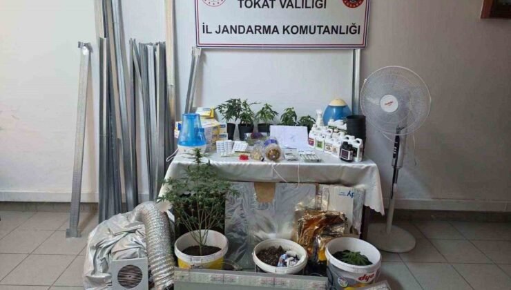 Bilgi notuyla apartman dairesinde uyuşturucu serası kurdular, jandarmadan kaçamadılar