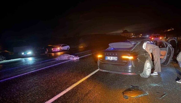 Bingöl’de otomobil ata çarptı: 4 yaralı