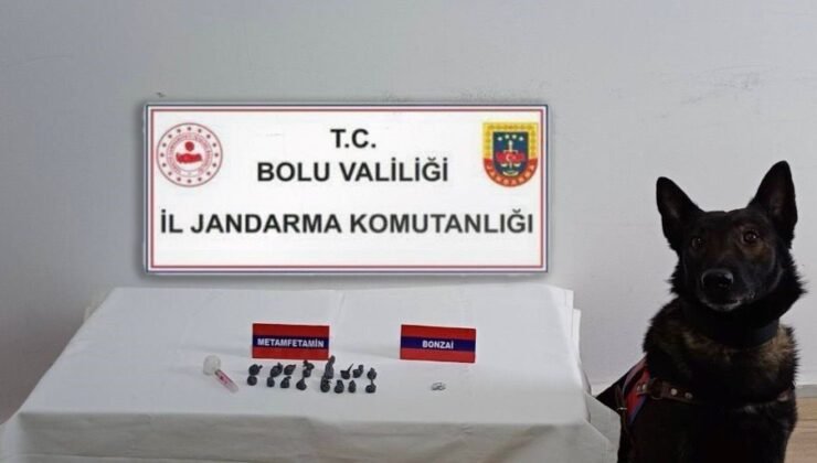 Bolu’da uyuşturucu operasyonu