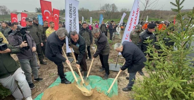 Bursa’da 2 yıl önce yanan 80 hektarlık alan ağaçlandırıldı