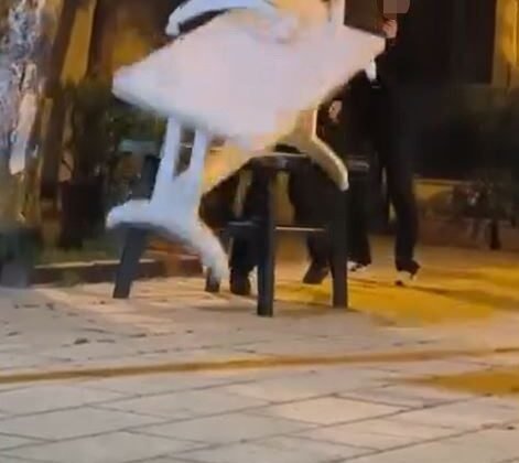 Cami bahçesindeki masalara zarar veren çocuklar kamerada