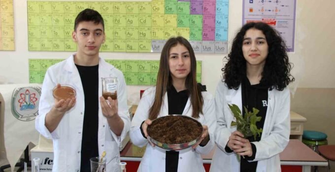 Çay atığından antibakteriyel ürün geliştirdiler