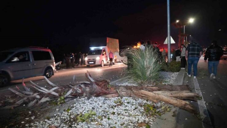 Çevre yolunda yarış yapan lüks araç hakimiyetini kaybetmesi sonucu önce refüjdeki ağaca ardından karşı şeride geçerek takla attı