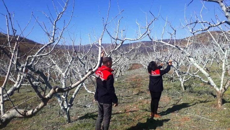 Çiftçilere bordo bulamacı uyarısı