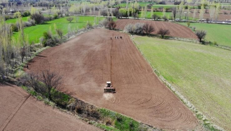 Çiftçinin enflasyonu şubatta yavaşladı