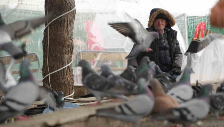“Çocukların Kuşçu Dedesi” kuşlar için meydanı terk etmiyor