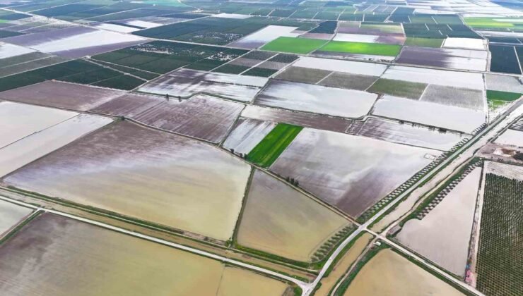 Çukurova’yı yağmur vurdu: Tarım arazileri sular altında